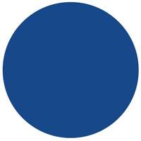 &eacute;tiquettes rondes inscriptibles, Cercle, 1,5" lo x 1,5" la, Bleu Les Fournitures Industrielles Méga