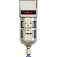 Filtreurs, Modulaire, 1" NPTF, Drain Semi-automatique, Pour Eau Les Fournitures Industrielles Méga