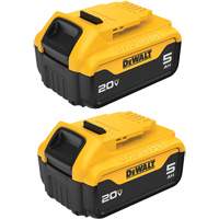 Bloc-piles Max XR Premium, Lithium-ion, 20 V, 5 A Les Fournitures Industrielles Méga