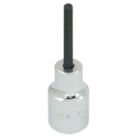 Replacement Bit, 5 mm x 1-1/5" L, 3/8" Drive Les Fournitures Industrielles Méga