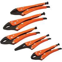 Straight Curved & Long Nose Locking Pliers Set, 5 Pieces Les Fournitures Industrielles Méga