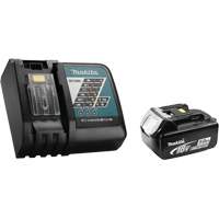 Ensemble batterie et chargeur rapide, 18 V, Lithium-ion Les Fournitures Industrielles Méga