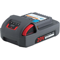 Batterie de s&eacute;rie IQV20, Lithium-ion, 20 V, 2,5 Ah Les Fournitures Industrielles Méga