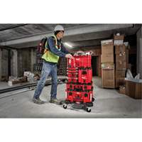 Packout Compact Tool Box, 10" x 16-1/5" x 13", Black/Red Les Fournitures Industrielles Méga