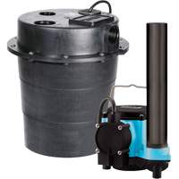 Pompe imerg&eacute;e s&eacute;rie WRS, 45 gal./min, 115 V, 9 A, 1/3 CV Les Fournitures Industrielles Méga