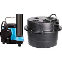 Pompe de puisard Drainosaur, 29 gal./min, 115 V, 9 A, 1/3 CV Les Fournitures Industrielles Méga