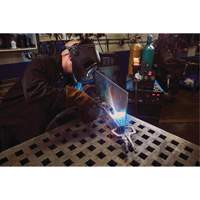 Vise-Grip&reg; Fast Release 11R Locking Pliers, 11" Length, C-Clamp Les Fournitures Industrielles Méga
