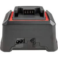 2.5 Ah & 5.0 Ah Battery Charger, 120 V, Lithium-Ion Les Fournitures Industrielles Méga