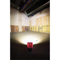 M12 Rover Mounting Flood Light, LED, 250 W, 1000 Lumens Les Fournitures Industrielles Méga