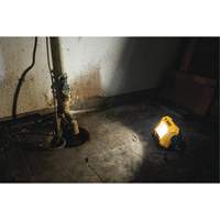 Lampe d'&eacute;clairage direct compact 12V/20V Max, DEL, 2000 Lumens Les Fournitures Industrielles Méga