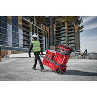 Packout Rolling Tool Chest, 15-4/5" x 34" x 28", Red Les Fournitures Industrielles Méga