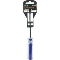 Tournevis &agrave; fente bleu transparent avec bandes, Tige de 3/16", Ronde, Prise en Plastique Les Fournitures Industrielles Méga