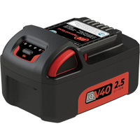 Bloc-pile, Lithium-ion, 40 V Les Fournitures Industrielles Méga