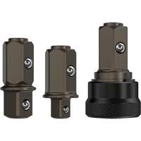 Replacement 1/4" & 3/8" Anvil Set for DCF500 Sealed Head Ratchet Les Fournitures Industrielles Méga