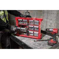 PACKOUT Tilt Bin Organizer, 15-1/5" x 19-7/10" x 6-7/10", Black/Red Les Fournitures Industrielles Méga