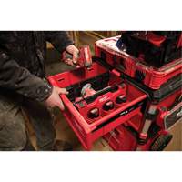 Divider for PACKOUT Drawer Tool Boxes Les Fournitures Industrielles Méga