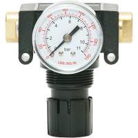 MODULAIR 200 Acetal Piston Regulator, 1/4" NPT, 150 PSI Max. PSI, In Line/Modular Les Fournitures Industrielles Méga