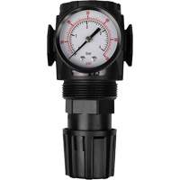 MODULAIR 300 Compressed Air Regulator, 1/2" NPT, 300 psi Max. PSI, In Line/Modular Les Fournitures Industrielles Méga