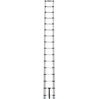 &eacute;chelle t&eacute;lescopique, 3' - 15,5', Aluminium, Capacit&eacute; de 250 lb, Type 1 Les Fournitures Industrielles Méga