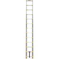 &eacute;chelle t&eacute;lescopique, 3' - 12', Aluminium, Capacit&eacute; de 250 lb, Type 1 Les Fournitures Industrielles Méga