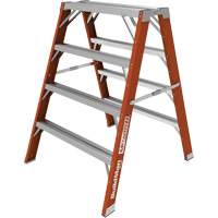 Buildman Step-up Workbench, 4' H x 36.25" W x 40.5" D, 300 lbs. Capacity, Fibreglass Les Fournitures Industrielles Méga