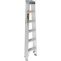 Step Ladder, 6', Aluminum, 225 lbs. Capacity, Type 2 Les Fournitures Industrielles Méga