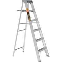 Step Ladder with Paint Tray, 6', Aluminum, 225 lbs. Capacity, Type 2 Les Fournitures Industrielles Méga