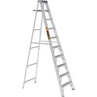 Step Ladder with Paint Tray, 10', Aluminum, 225 lbs. Capacity, Type 2 Les Fournitures Industrielles Méga