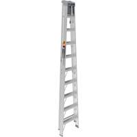 Step Ladder with Paint Tray, 10', Aluminum, 225 lbs. Capacity, Type 2 Les Fournitures Industrielles Méga
