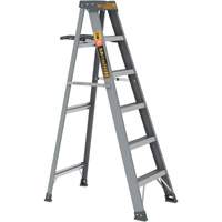 Step Ladder with Paint Tray, 6', Fibreglass, 225 lbs. Capacity, Type 2 Les Fournitures Industrielles Méga