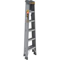 Step Ladder with Paint Tray, 6', Fibreglass, 225 lbs. Capacity, Type 2 Les Fournitures Industrielles Méga