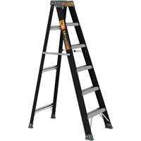 Step Ladder, 6', Fibreglass, 250 lbs. Capacity, Type 1 Les Fournitures Industrielles Méga