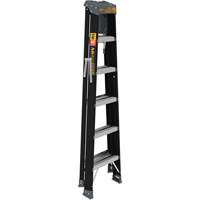 Step Ladder with Paint Tray, 6', Fibreglass, 250 lbs. Capacity, Type 1 Les Fournitures Industrielles Méga