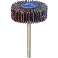 3/8" Flapwheel Sanding Bit - 80 Grit Les Fournitures Industrielles Méga