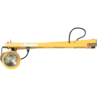 Lampes pour les quais, Bras 60", Ampoule Incandescente, M&eacute;tal Les Fournitures Industrielles Méga