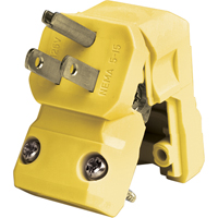 Extension Plugs