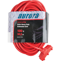 Vinyl Extension Cord, Outdoor, SJTW, 12/3 AWG, 15 A, 3 Outlet(s), 100' Les Fournitures Industrielles Méga