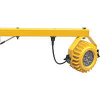 Lampes pour quais de chargement robustes, Bras 24", 300 W, Ampoule DEL, M&eacute;tal Les Fournitures Industrielles Méga