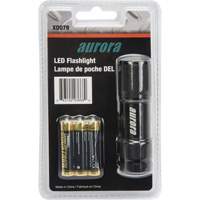 AFL200 Mini Flashlight, LED, 25 Lumens, AAA Batteries Les Fournitures Industrielles Méga
