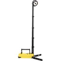 Lampes de sc&egrave;ne portables et rechargeables, DEL, 36 W, 5300 lumens, Boîtier en Plastique Les Fournitures Industrielles Méga