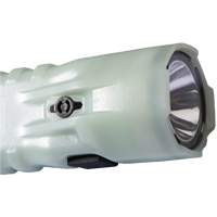 Flashlight, LED, 378 Lumens, AA Batteries Les Fournitures Industrielles Méga