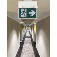 Running Man Sign with Security Lights, LED, Battery Operated/Hardwired, 12-1/10" L x 11" W, Pictogram Les Fournitures Industrielles Méga