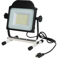 Projecteur, DEL, 100 W, 10000 lumens Les Fournitures Industrielles Méga