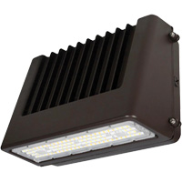 Luminaire mural, DEL, 120 V, 80 W, 6,5" ha x 9,3" la x 14,4" p Les Fournitures Industrielles Méga