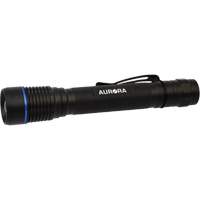 Lampe de poche IPX7, DEL, 250 lumens, Piles AA Les Fournitures Industrielles Méga