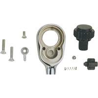 Ratchet Repair Kit Les Fournitures Industrielles Méga
